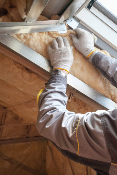 Best Fiberglass Insulation in Jan Phyl Village, FL